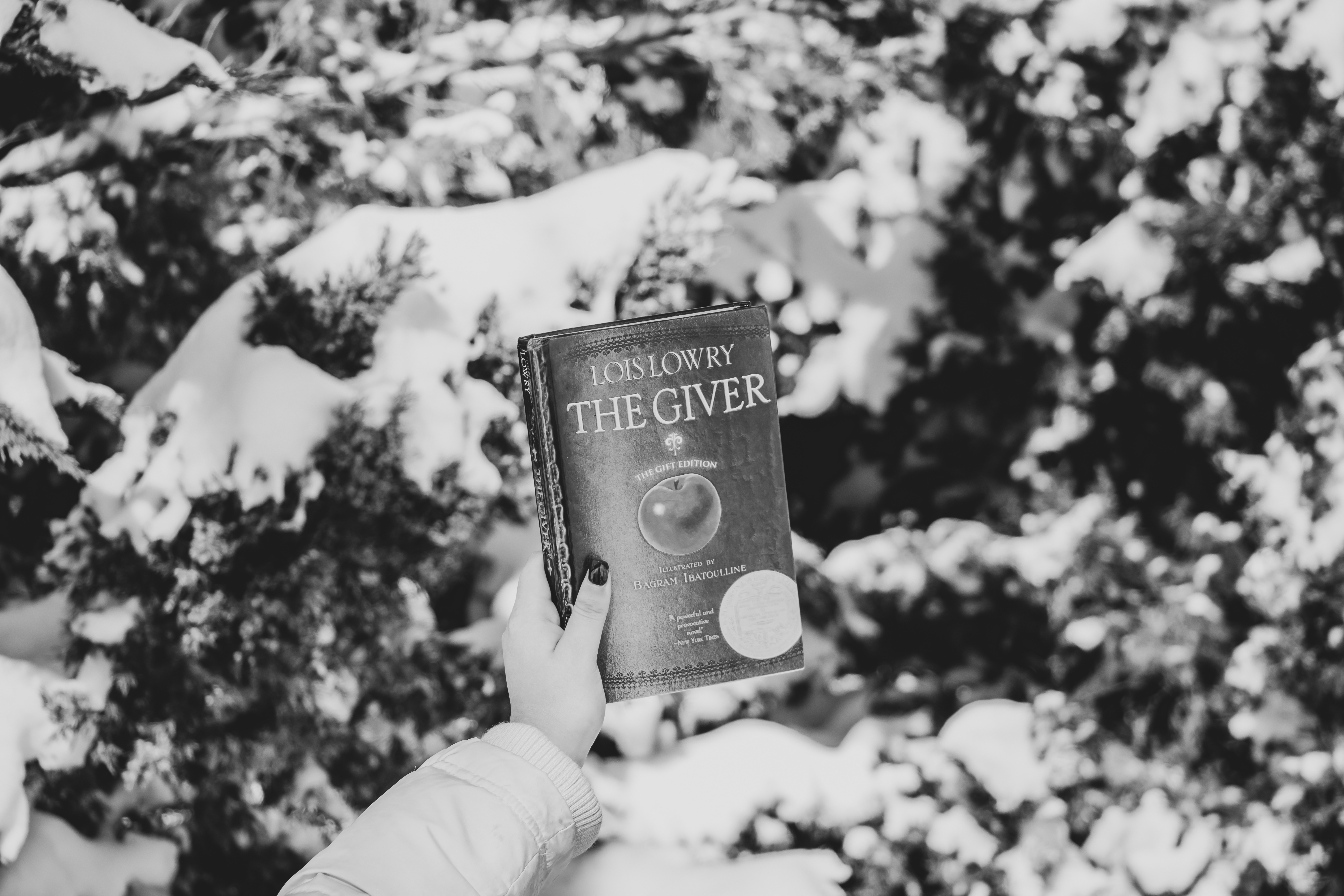 Wintery Inspirational Books For The New Year Off The Shelf