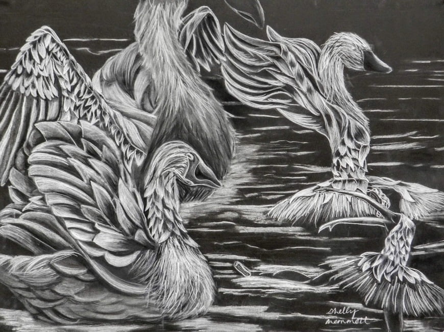 White pencil on black paper drawing of swans